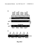 RNA-mediated epigenetic regulation of gene transcription diagram and image