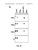 RNA-mediated epigenetic regulation of gene transcription diagram and image