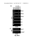 RNA-mediated epigenetic regulation of gene transcription diagram and image