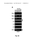 RNA-mediated epigenetic regulation of gene transcription diagram and image