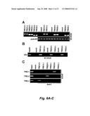 RNA-mediated epigenetic regulation of gene transcription diagram and image