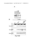 RNA-mediated epigenetic regulation of gene transcription diagram and image