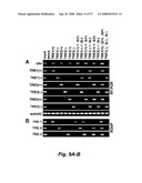 RNA-mediated epigenetic regulation of gene transcription diagram and image