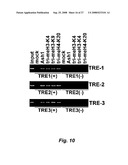 RNA-mediated epigenetic regulation of gene transcription diagram and image