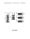 RNA-mediated epigenetic regulation of gene transcription diagram and image