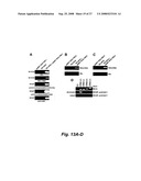 RNA-mediated epigenetic regulation of gene transcription diagram and image