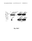 RNA-mediated epigenetic regulation of gene transcription diagram and image