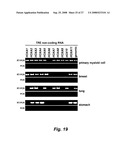 RNA-mediated epigenetic regulation of gene transcription diagram and image