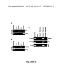 RNA-mediated epigenetic regulation of gene transcription diagram and image