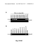 RNA-mediated epigenetic regulation of gene transcription diagram and image