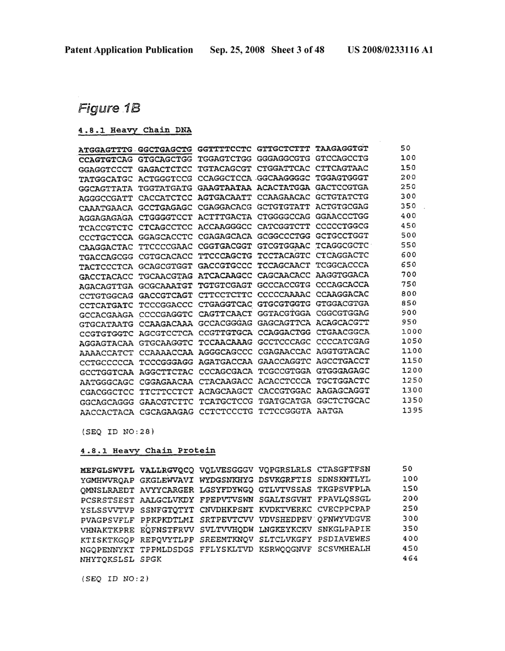 Human monoclonal antibodies to CTLA-4 - diagram, schematic, and image 04