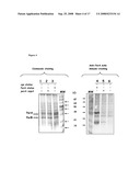 Vaccine Composition diagram and image