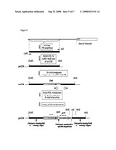 Vaccine Composition diagram and image