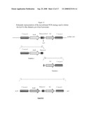 Vaccine Composition diagram and image