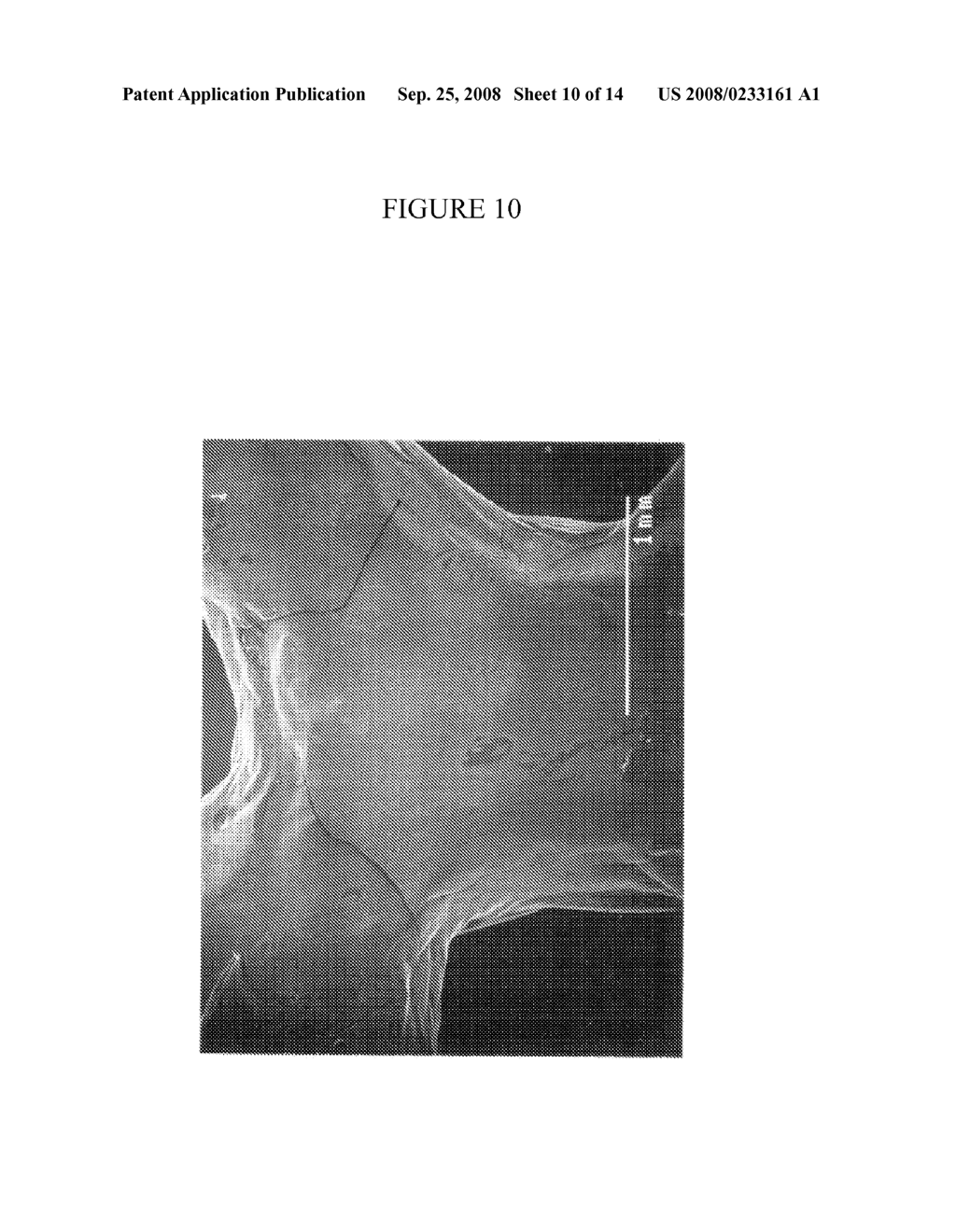 DEPOSITION PRODUCTS, COMPOSITE MATERIALS AND PROCESSES FOR THE PRODUCTION THEREOF - diagram, schematic, and image 11