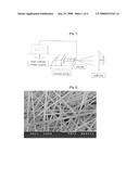 Fibrous 3-Dimensional Scaffold Via Electrospinning For Tissue Regeneration and Method For Preparing the Same diagram and image