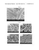 Fibrous 3-Dimensional Scaffold Via Electrospinning For Tissue Regeneration and Method For Preparing the Same diagram and image