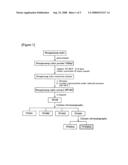 COMPOSITION COMPRISING NOTOGINSENG RADIX EXTRACT FOR PREVENTING AND TREATING OF ARTHRITIS AS AN EFFECTIVE INGREDIENT diagram and image