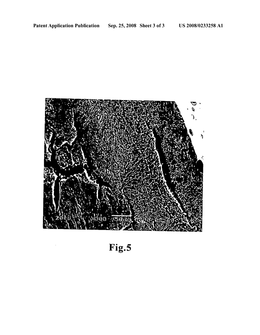 Method of producing cooked rice by intermittent heating - diagram, schematic, and image 04