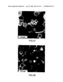 COATED NICKEL-CONTAINING POWDERS diagram and image