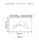 Proton-exchange composite containing nanoparticles having outer oligomeric ionomer, and methods of forming diagram and image