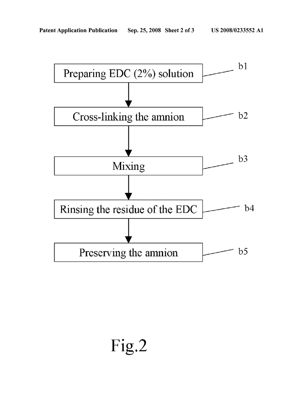 METHOD OF CROSS-LINKING AMNION TO BE AN IMPROVED BIOMEDICAL MATERIAL - diagram, schematic, and image 03