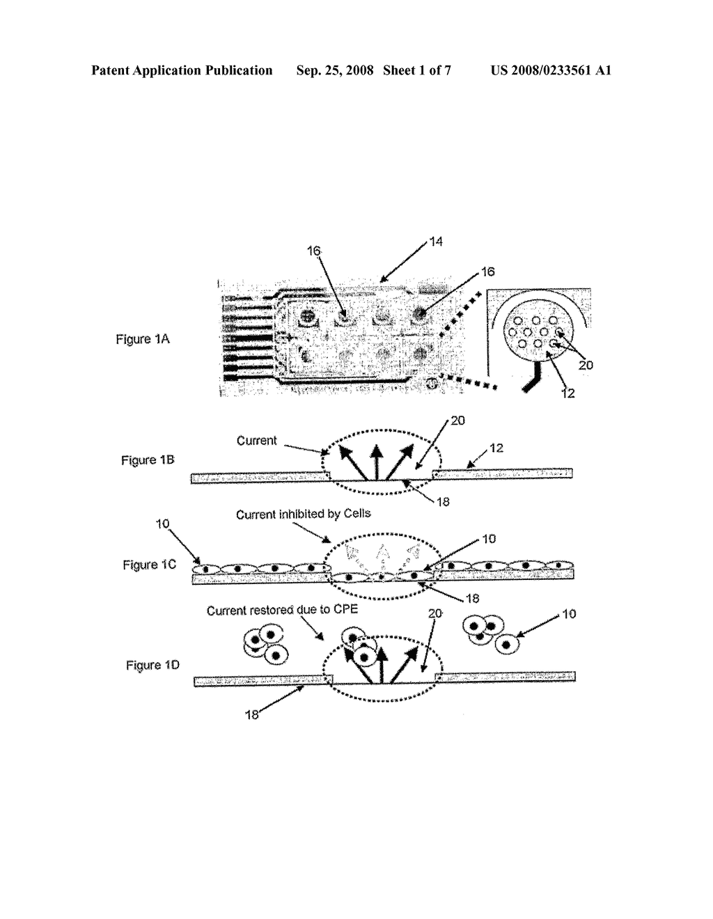 Method for Measuring Cytopathic Effect Due to Viral Infection in Cells Using Electric Cell-Substrate Impedance Sensing - diagram, schematic, and image 02