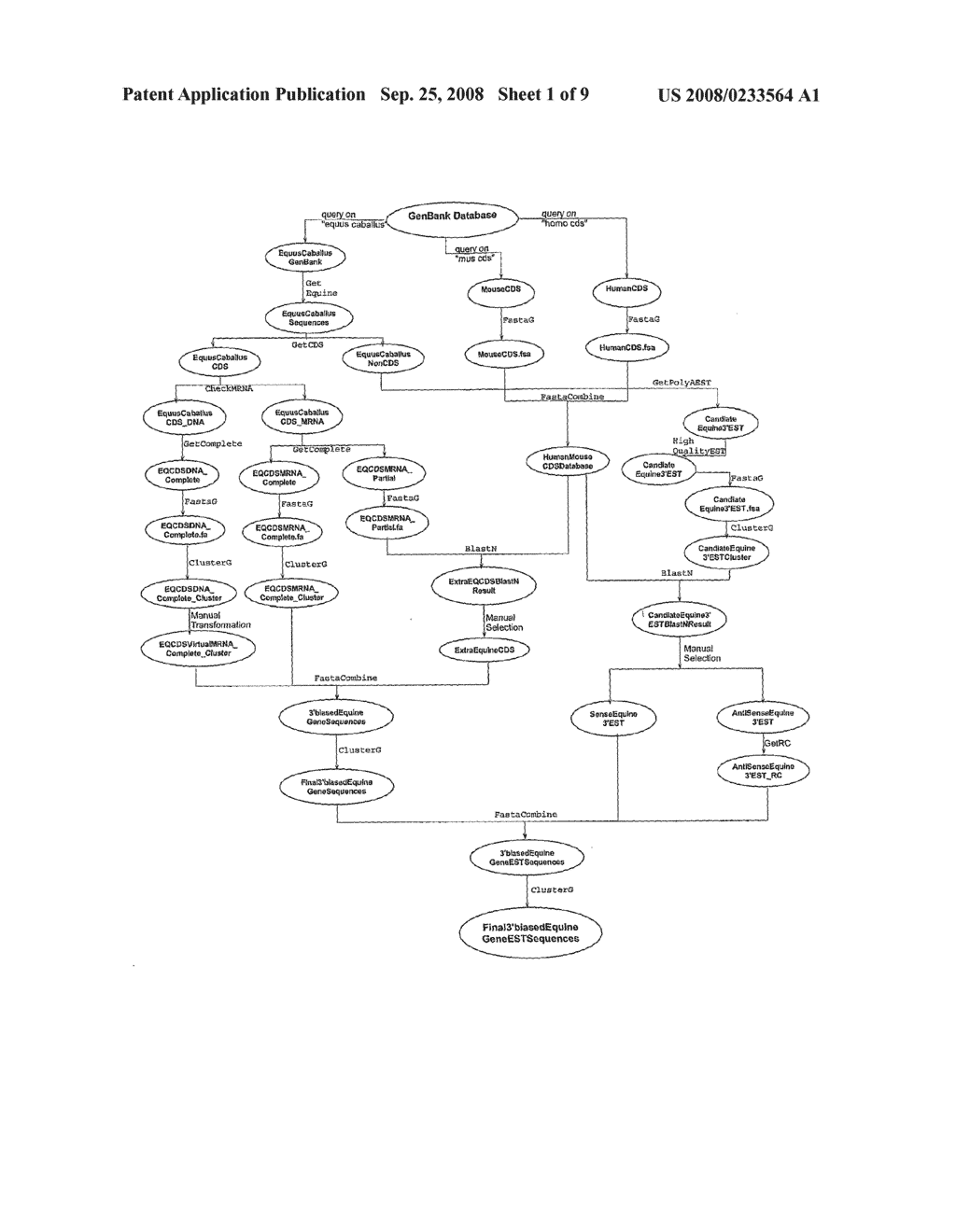 Methods of Using Databases to Greate Gene-Expression Microarrays, Microarrays Greated Thereby, and Uses of the Microarrays - diagram, schematic, and image 02