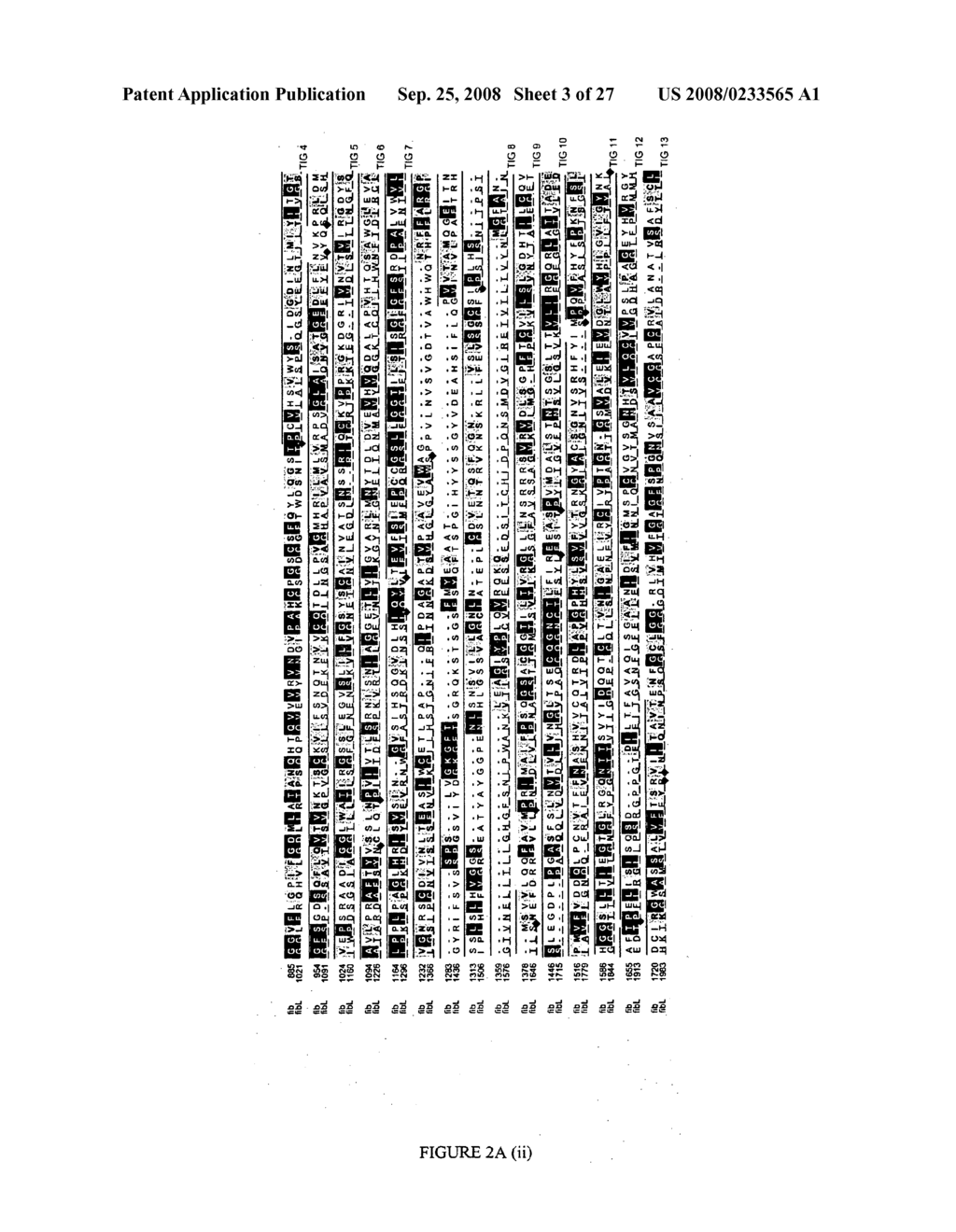 PKHDL1, a homolog of the autosomal recessive kidney disease gene - diagram, schematic, and image 04