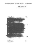 Detection of Extracellular Tumor-Associated Nucleic Acid in Blood Plasma or Serum Using Nucleic Acid Amplification Assays diagram and image