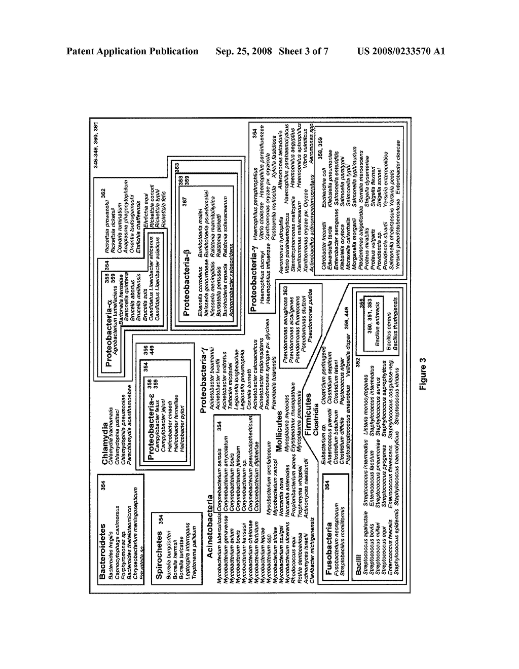 METHODS FOR IDENTIFICATION OF SEPSIS-CAUSING BACTERIA - diagram, schematic, and image 04