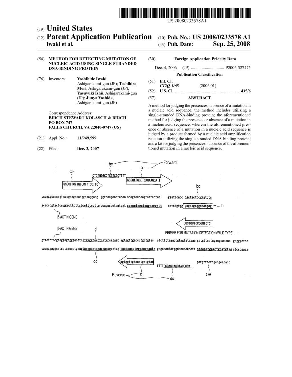 METHOD FOR DETECTING MUTATION OF NUCLEIC ACID USING SINGLE-STRANDED DNA-BINDING PROTEIN - diagram, schematic, and image 01