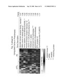 BIOMARKERS FOR PREECLAMPSIA diagram and image