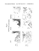 BIOMARKERS FOR PREECLAMPSIA diagram and image