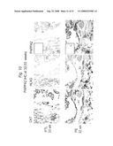 BIOMARKERS FOR PREECLAMPSIA diagram and image