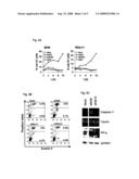 RNAi MODULATION OF MLL-AF4 AND USES THEREOF diagram and image