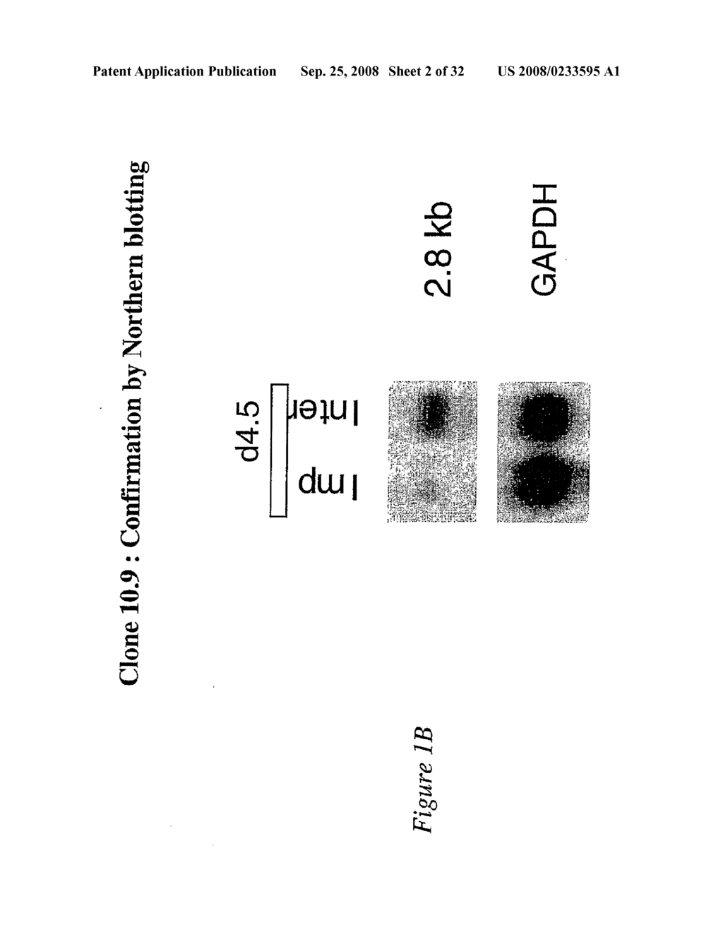 METHOD FOR DIAGNOSING INTERTILITY - diagram, schematic, and image 03