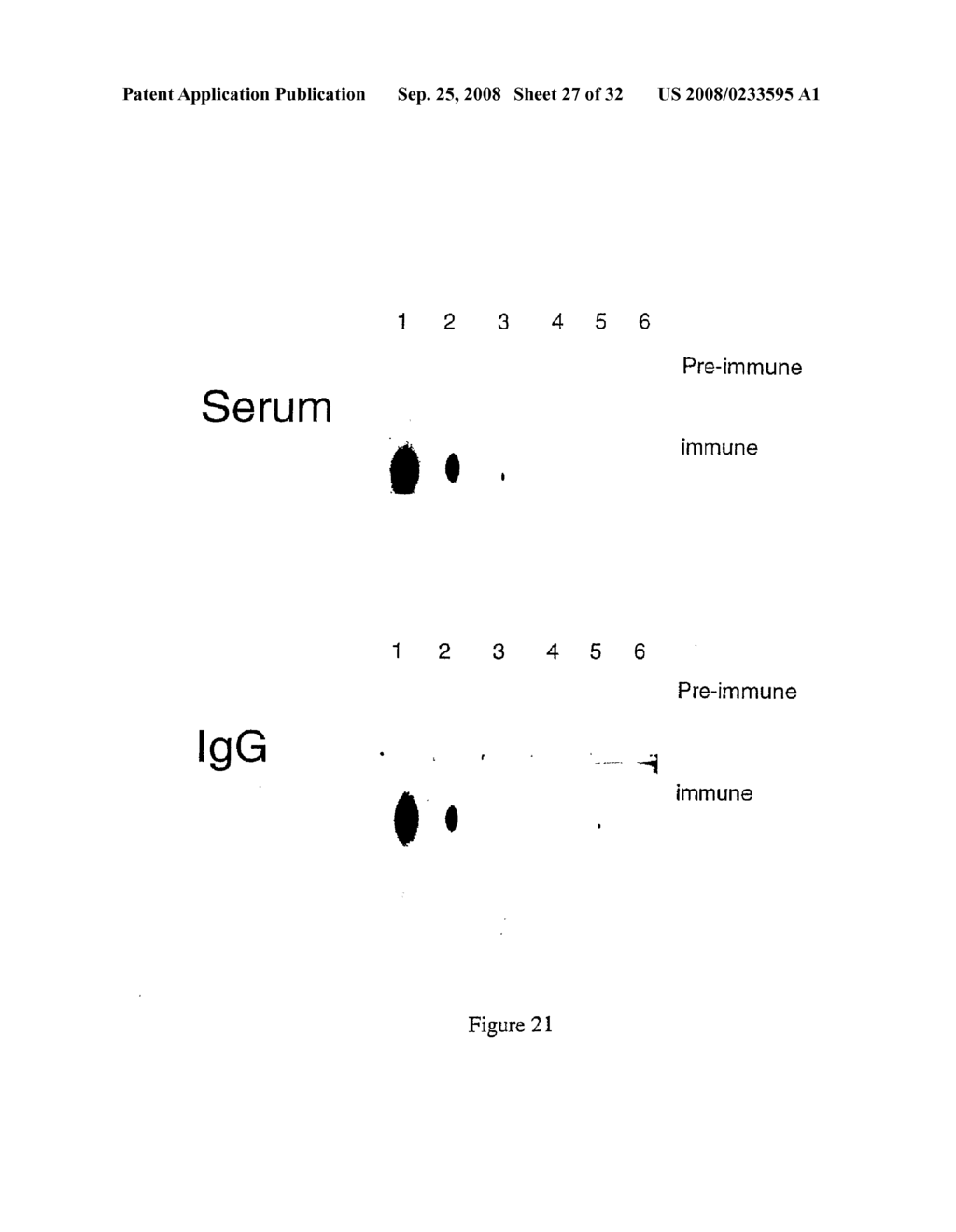 METHOD FOR DIAGNOSING INTERTILITY - diagram, schematic, and image 28
