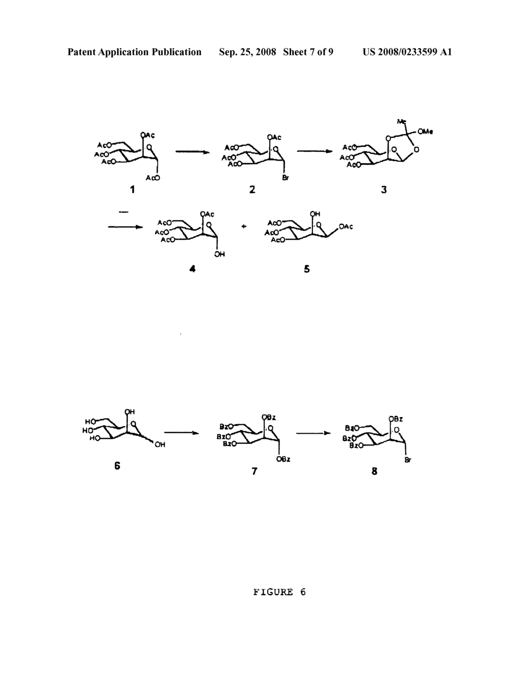 IMMUNOGENIC GLYCOPEPTIDES, SCREENING, PREPARATION AND USES - diagram, schematic, and image 08