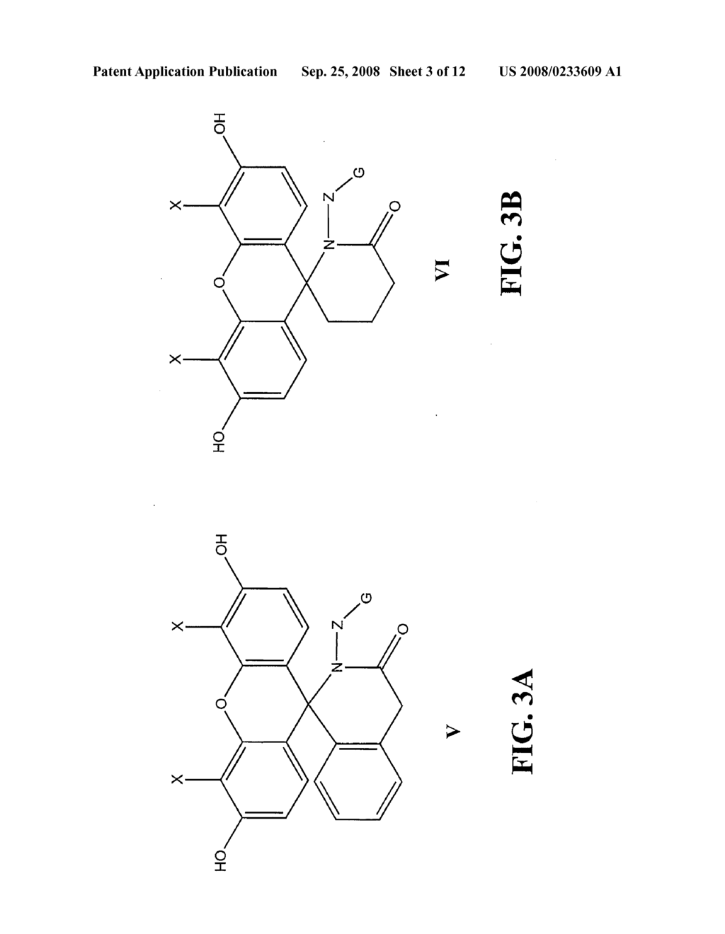 Spirolactam Targeting Compounds and Related Compounds - diagram, schematic, and image 04