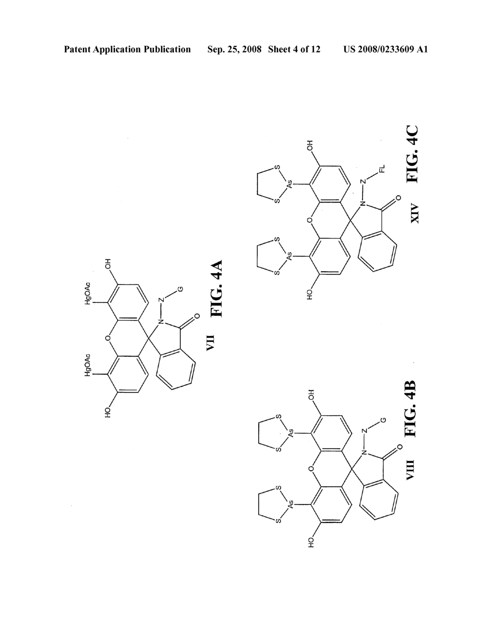 Spirolactam Targeting Compounds and Related Compounds - diagram, schematic, and image 05