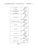 Orthogonal Translation Components for the in Vivo Incorporation of Unnatural Amino Acids diagram and image