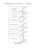 Orthogonal Translation Components for the in Vivo Incorporation of Unnatural Amino Acids diagram and image