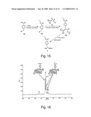 Orthogonal Translation Components for the in Vivo Incorporation of Unnatural Amino Acids diagram and image