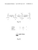 Orthogonal Translation Components for the in Vivo Incorporation of Unnatural Amino Acids diagram and image