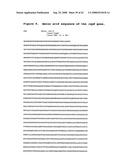 Biosynthetic gene cluster for leptomycins diagram and image