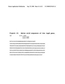 Biosynthetic gene cluster for leptomycins diagram and image