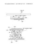 Apparatus and Method for Magnetically Separating Cells From Mixture diagram and image