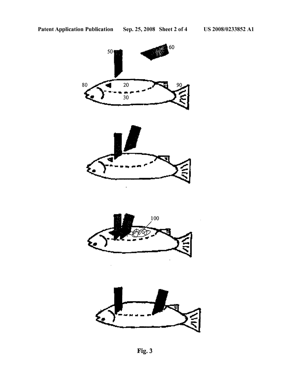 Device and Method for Cleaning the Abdominal Cavity in Fish - diagram, schematic, and image 03