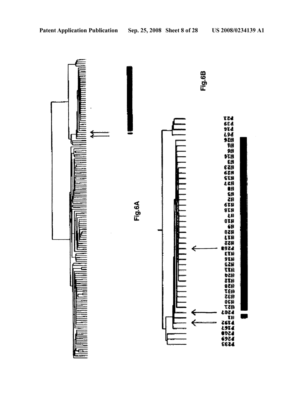 Diagnosis, prognosis and identification of potential therapeutic targets of multiple myeloma based on gene expression profiling - diagram, schematic, and image 09